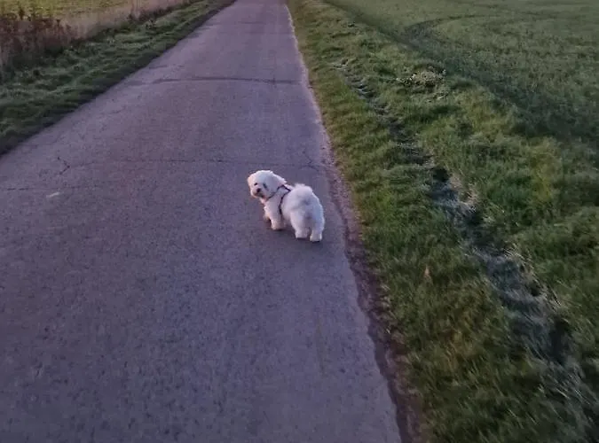 Haus Im Gruenen Stemwede